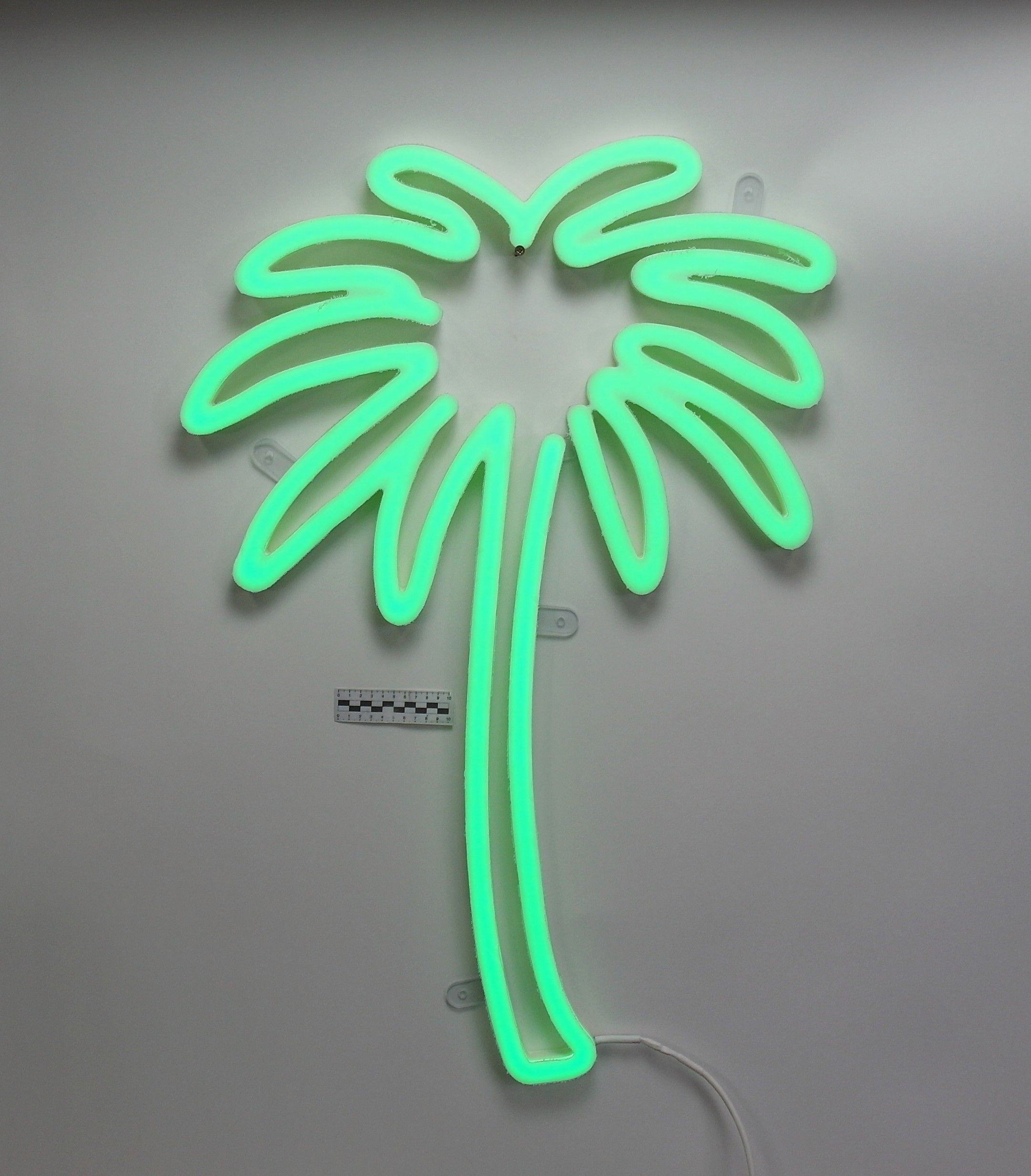 LEDON PALM