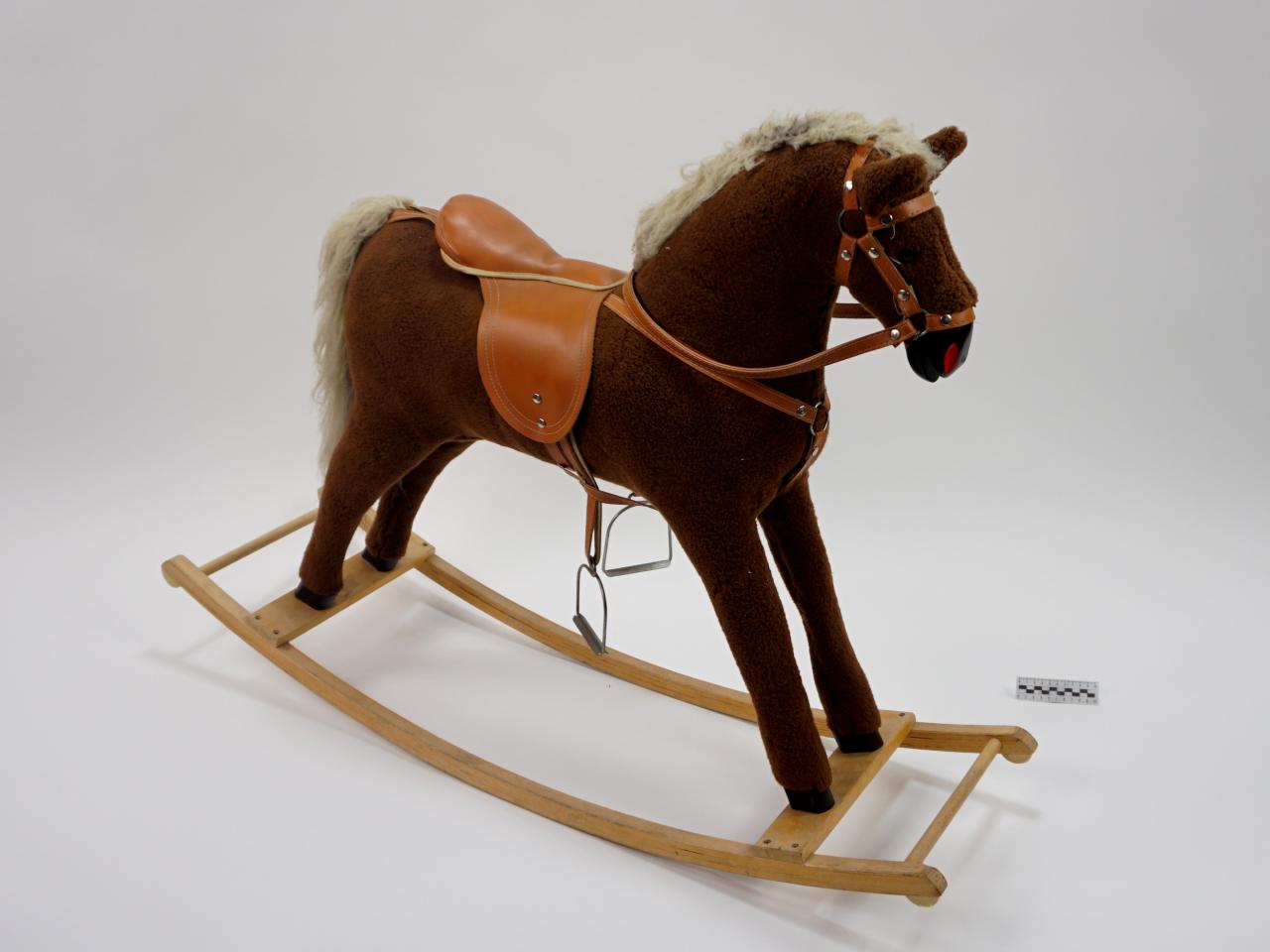 KONIK NA BIEGUNACH