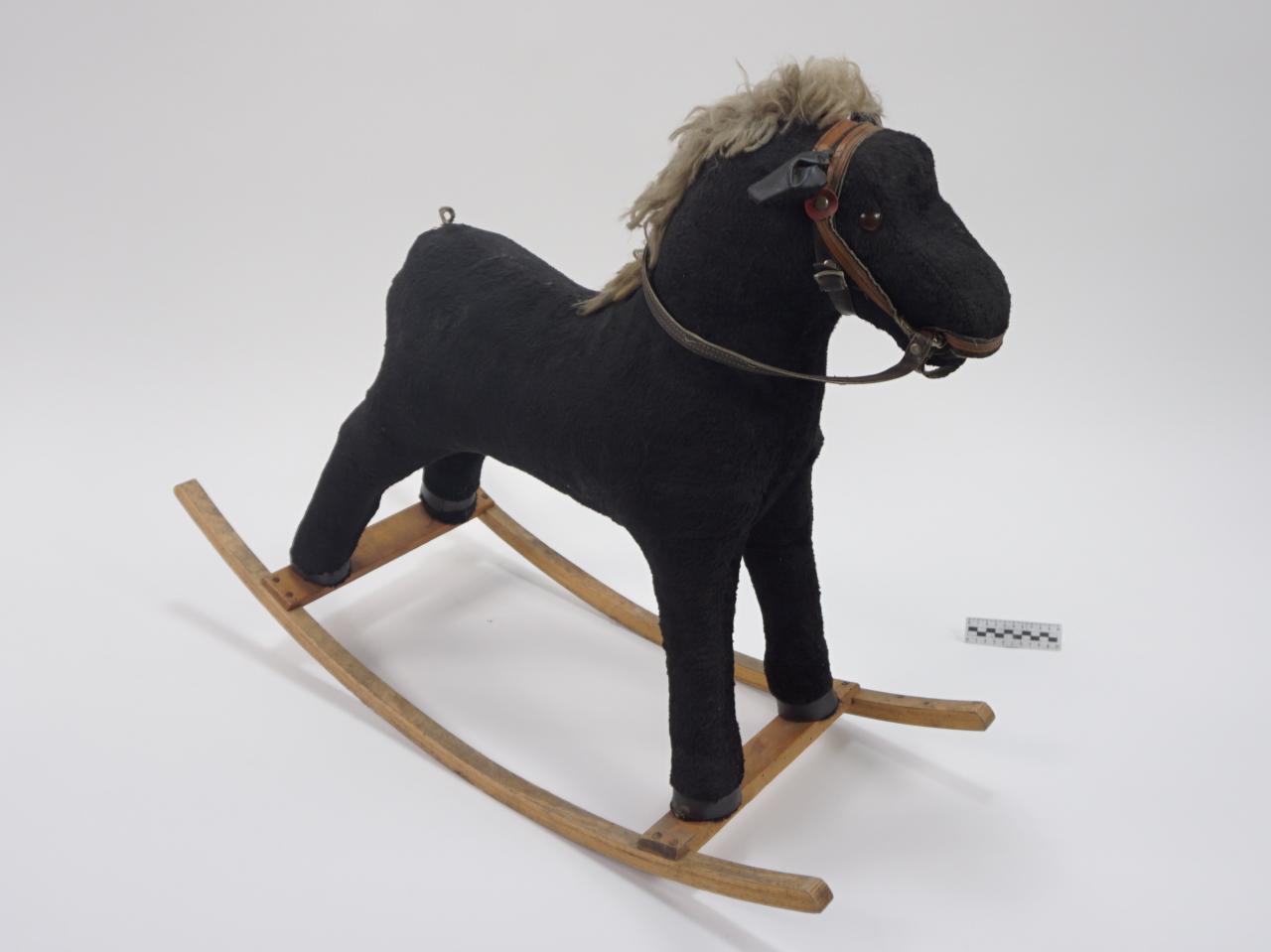 KONIK NA BIEGUNACH