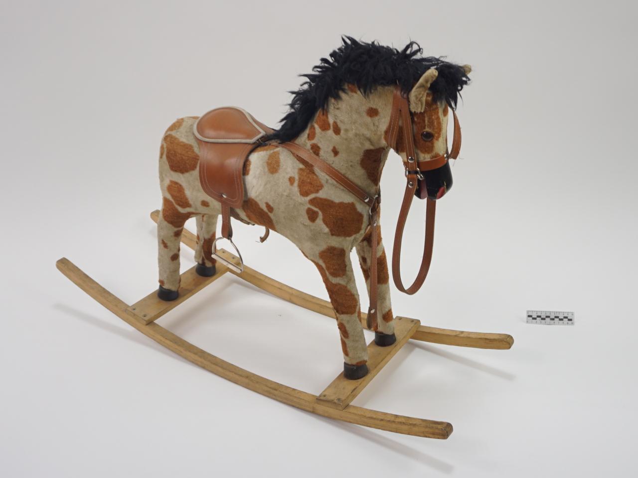 KONIK NA BIEGUNACH