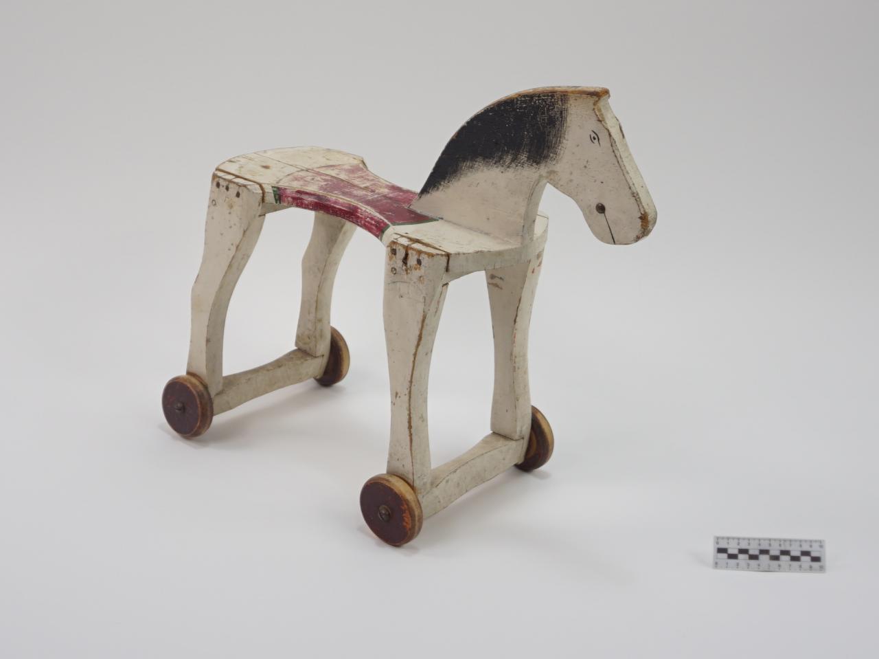 KONIK NA BIEGUNACH