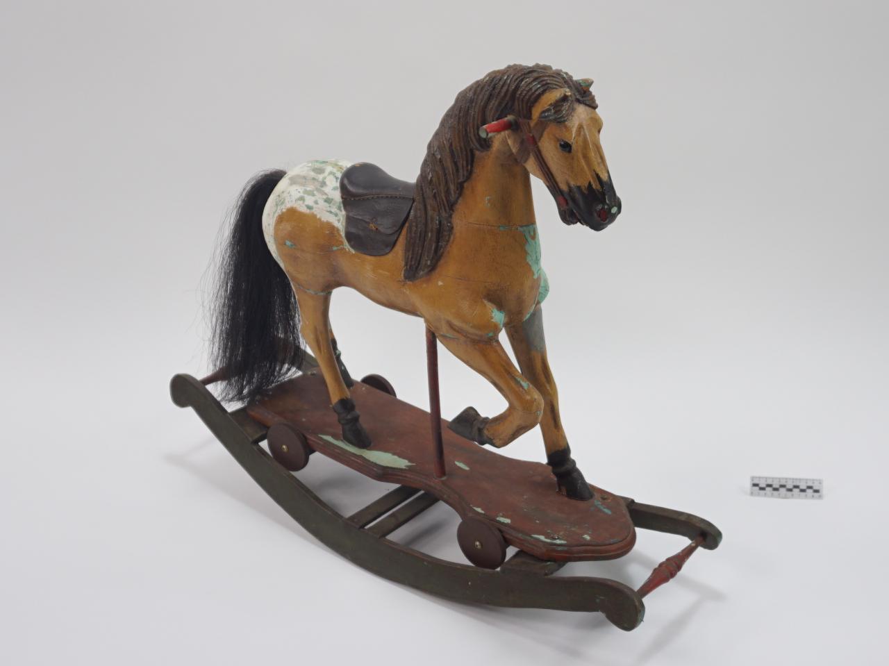 KONIK NA BIEGUNACH