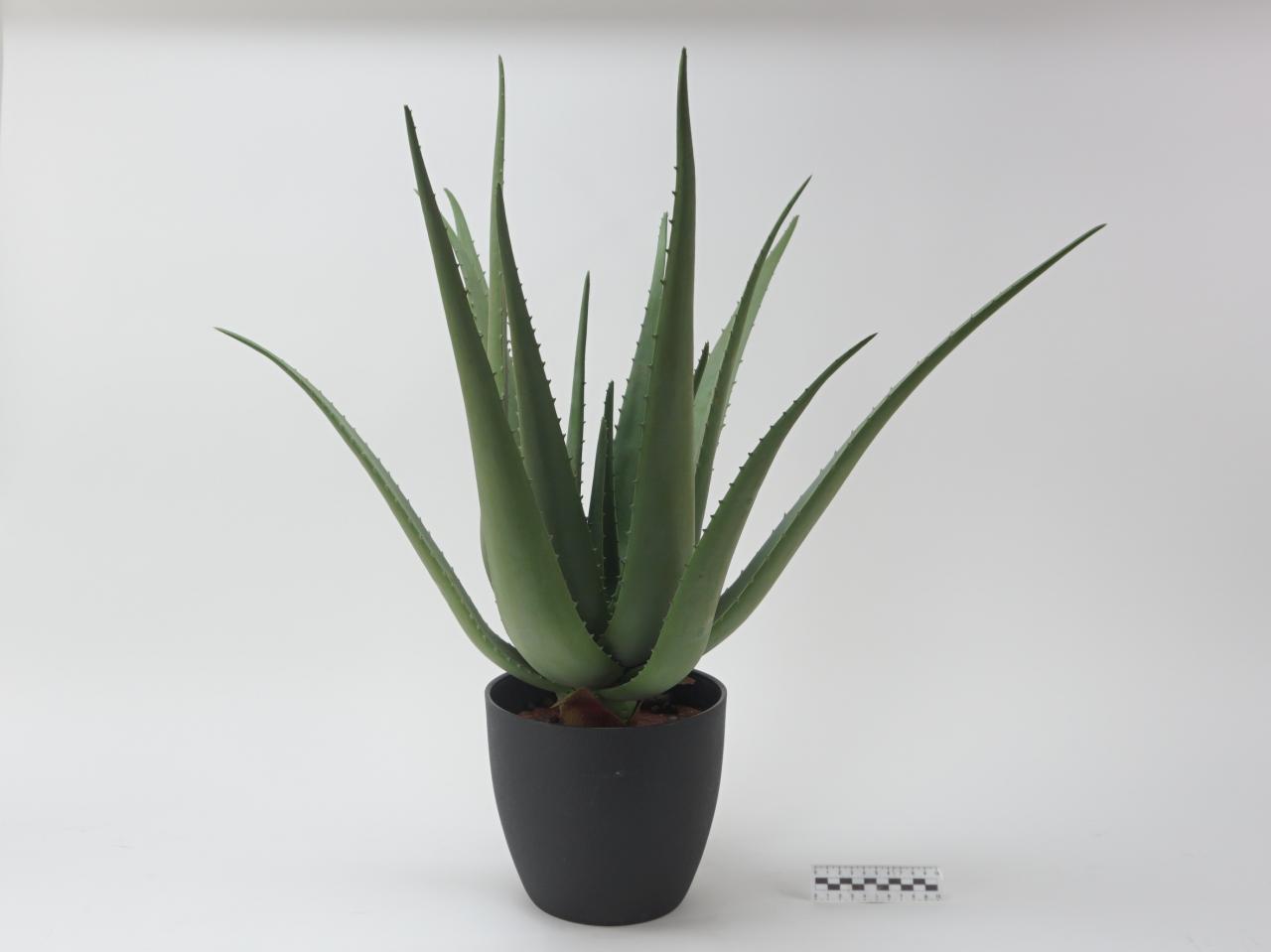 ROŚLINA SZTUCZNA ALOES