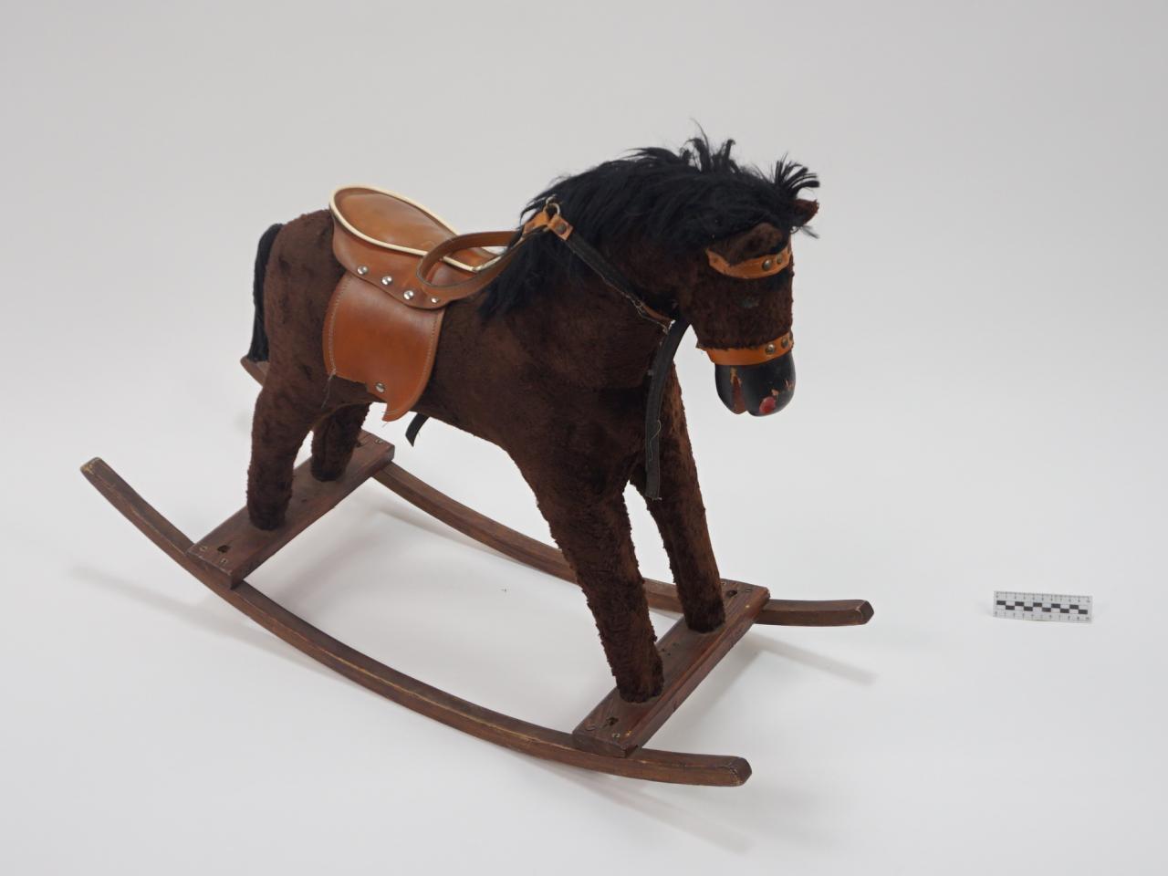 KONIK NA BIEGUNACH