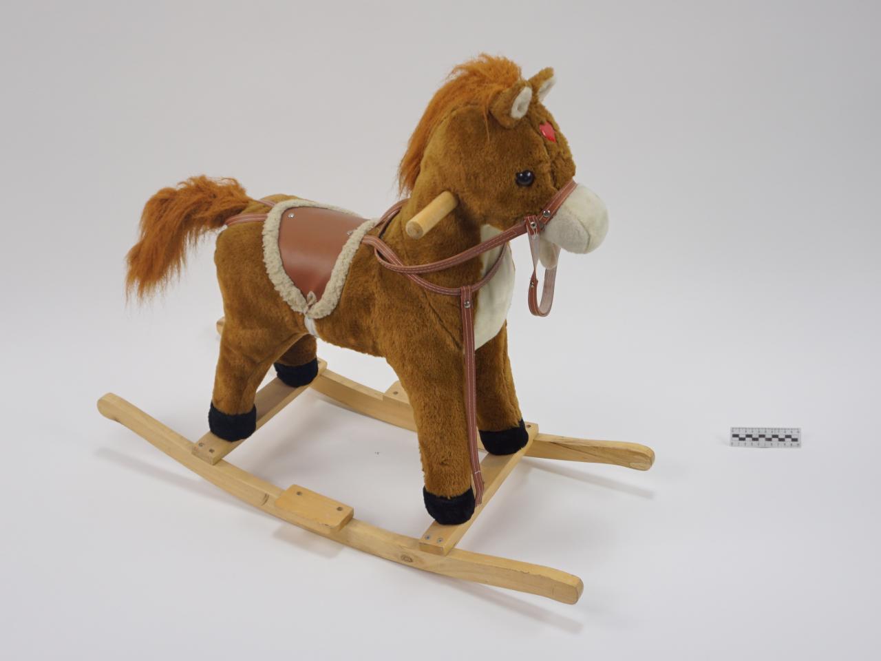 KONIK NA BIEGUNACH