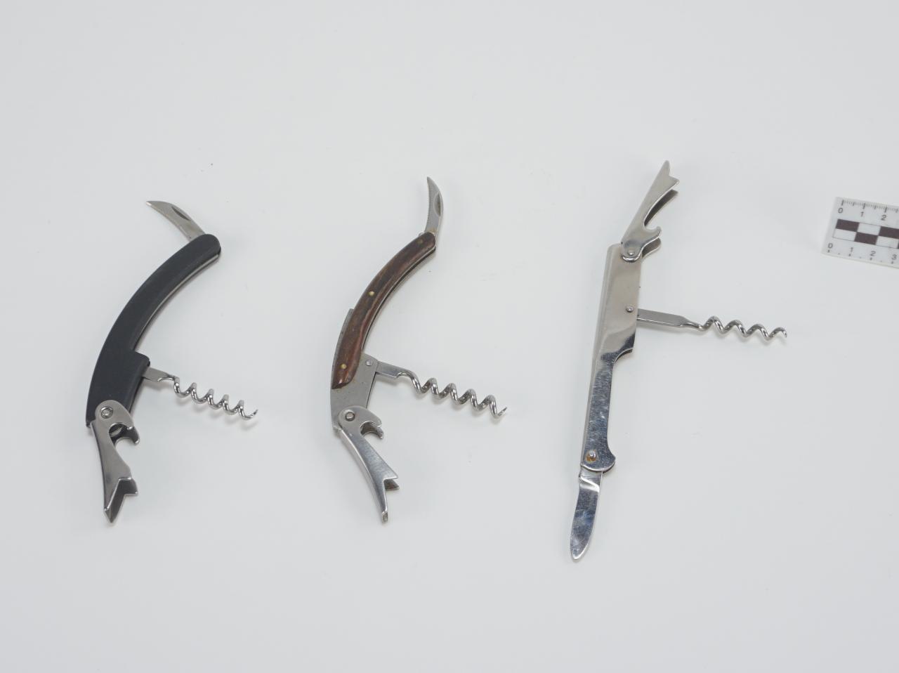 SCYZORYK