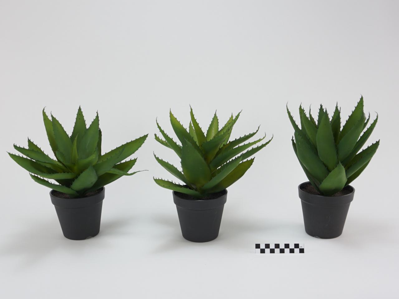 ROŚLINA SZTUCZNA ALOES