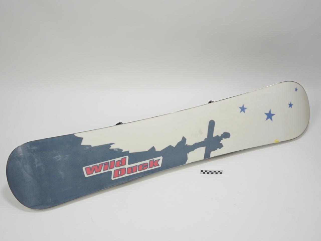SNOWBOARD
