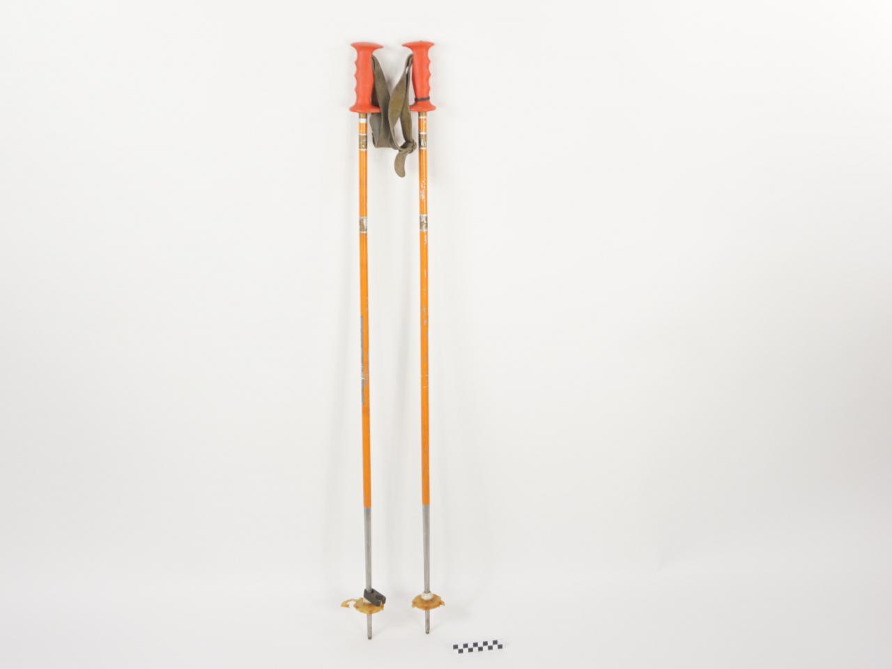 SKI POLES