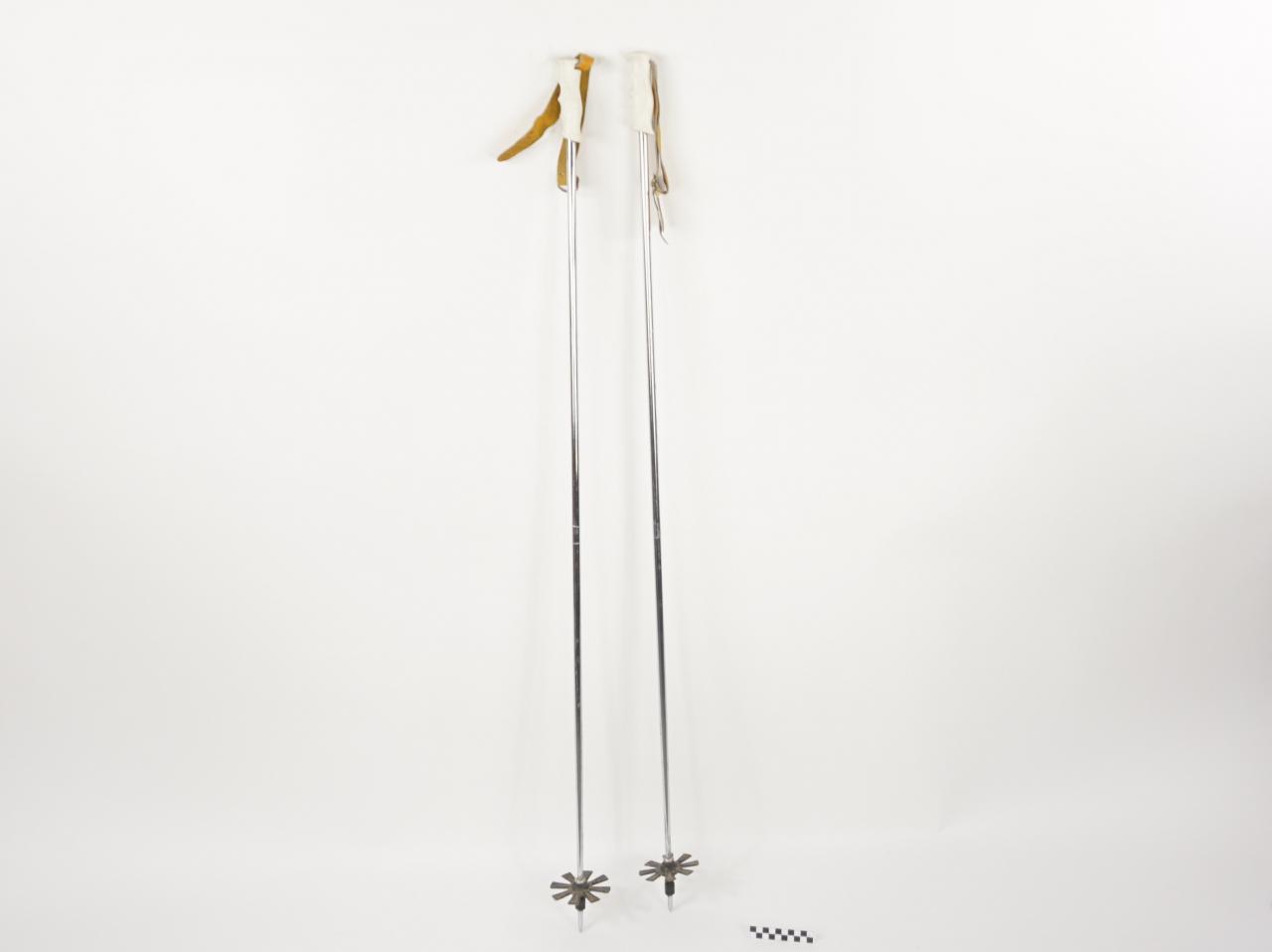 SKI POLES