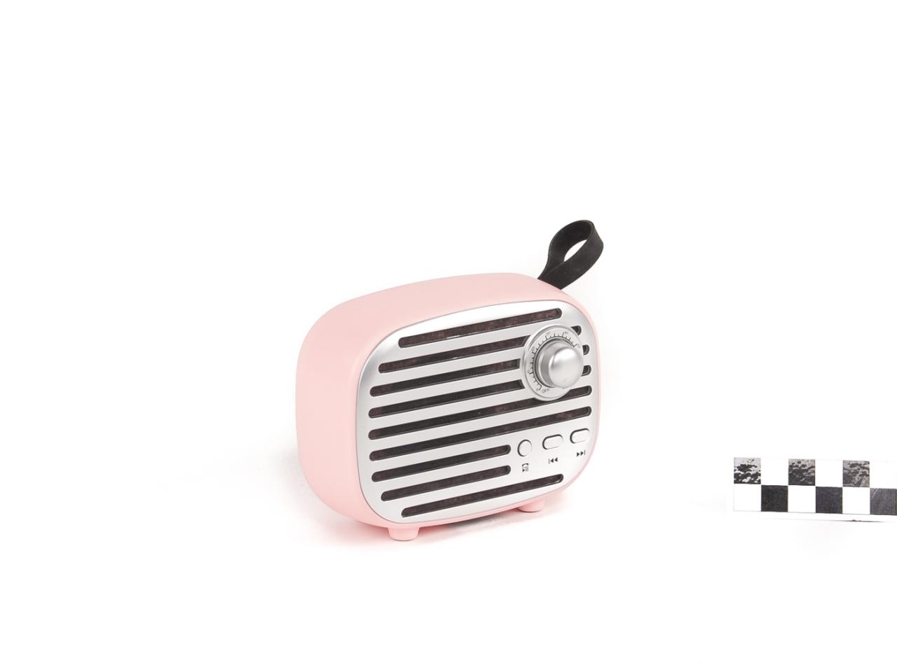RADIO BLUETOOTH SPEAKER