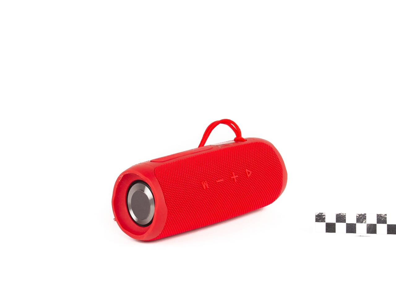 RADIO BLUETOOTH SPEAKER
