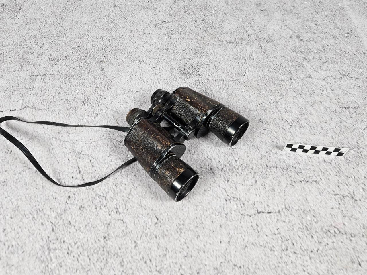 BINOCULARS
