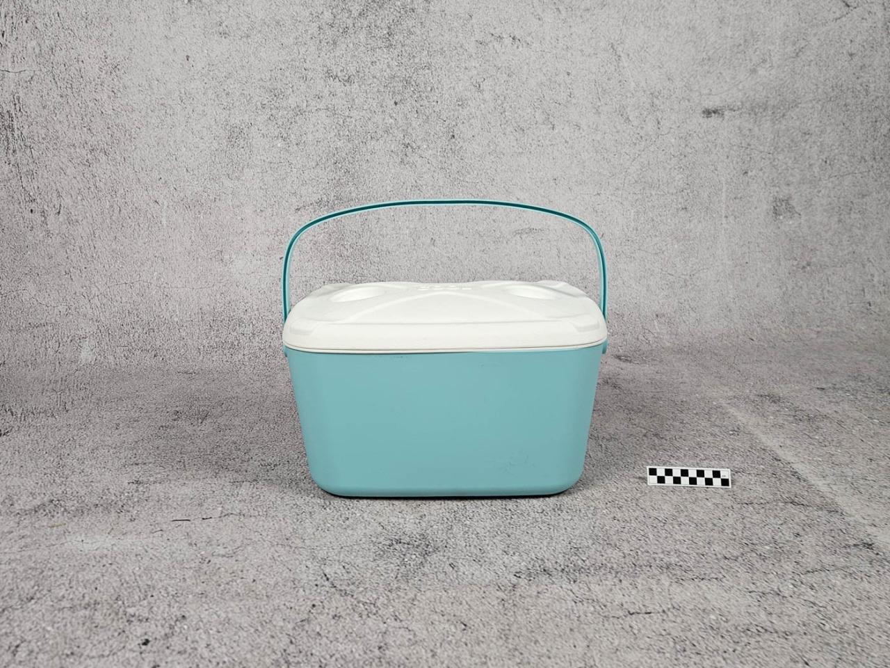 PORTABLE COOLER
