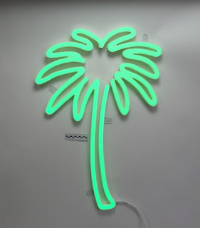 LEDON PALM