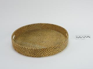 TRAY