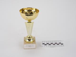 NAGRODA SPORTOWA PUCHAR STATUETKA