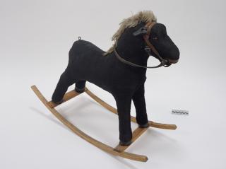 KONIK NA BIEGUNACH