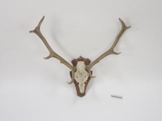 POROŻE