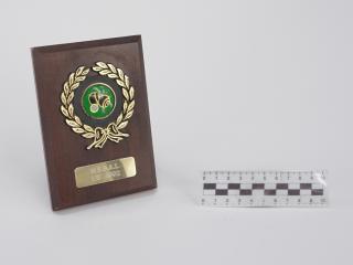 NAGRODA SPORTOWA PUCHAR STATUETKA