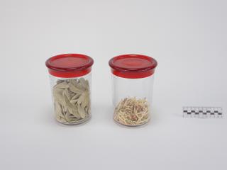 KITCHEN CONTAINER