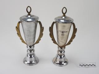 NAGRODA SPORTOWA PUCHAR STATUETKA