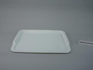 TRAY