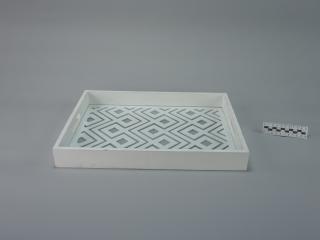 TRAY
