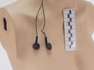 HEADPHONES