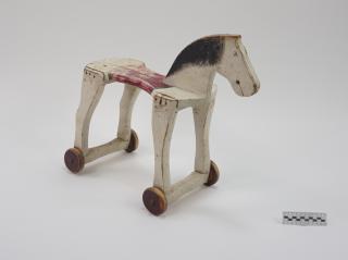 KONIK NA BIEGUNACH