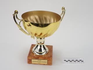 NAGRODA SPORTOWA PUCHAR STATUETKA