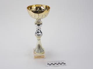NAGRODA SPORTOWA PUCHAR STATUETKA