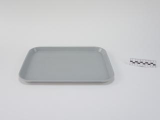 TRAY