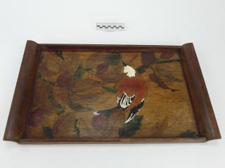 TRAY