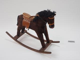 KONIK NA BIEGUNACH