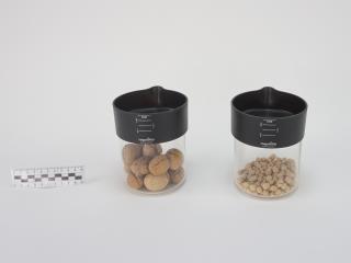 KITCHEN CONTAINER