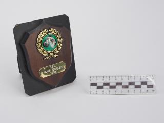 NAGRODA SPORTOWA PUCHAR STATUETKA