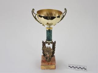 NAGRODA SPORTOWA PUCHAR STATUETKA
