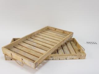 TRAY