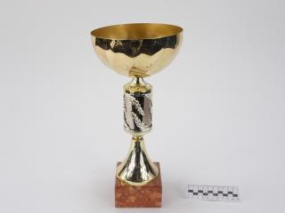 NAGRODA SPORTOWA PUCHAR STATUETKA
