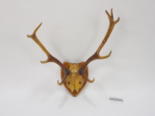 POROŻE
