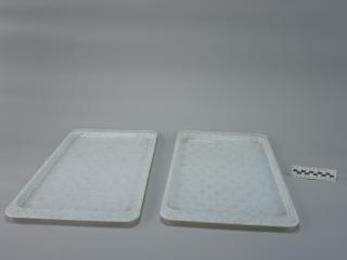TRAY