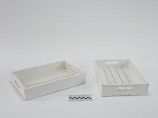 TRAY