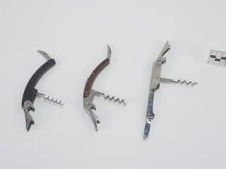 SCYZORYK
