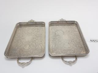 TRAY