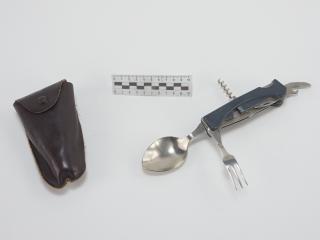 SCYZORYK