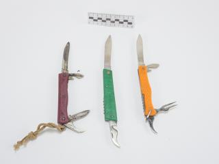 SCYZORYK