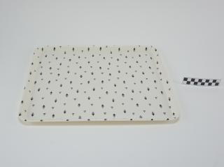 TRAY