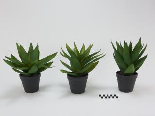 ROŚLINA SZTUCZNA ALOES