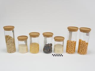 KITCHEN CONTAINER
